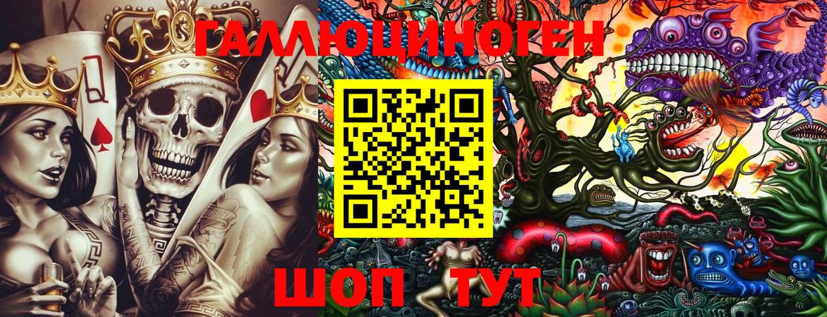 Псилоцибиновые грибы Psilocybe Удомля