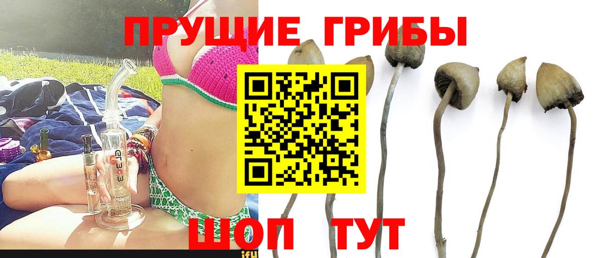 Псилоцибиновые грибы мухоморы  Вход с VPN  Удомля 